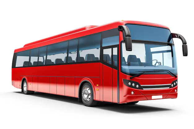 Buses category